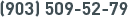 (903) 509-52-79